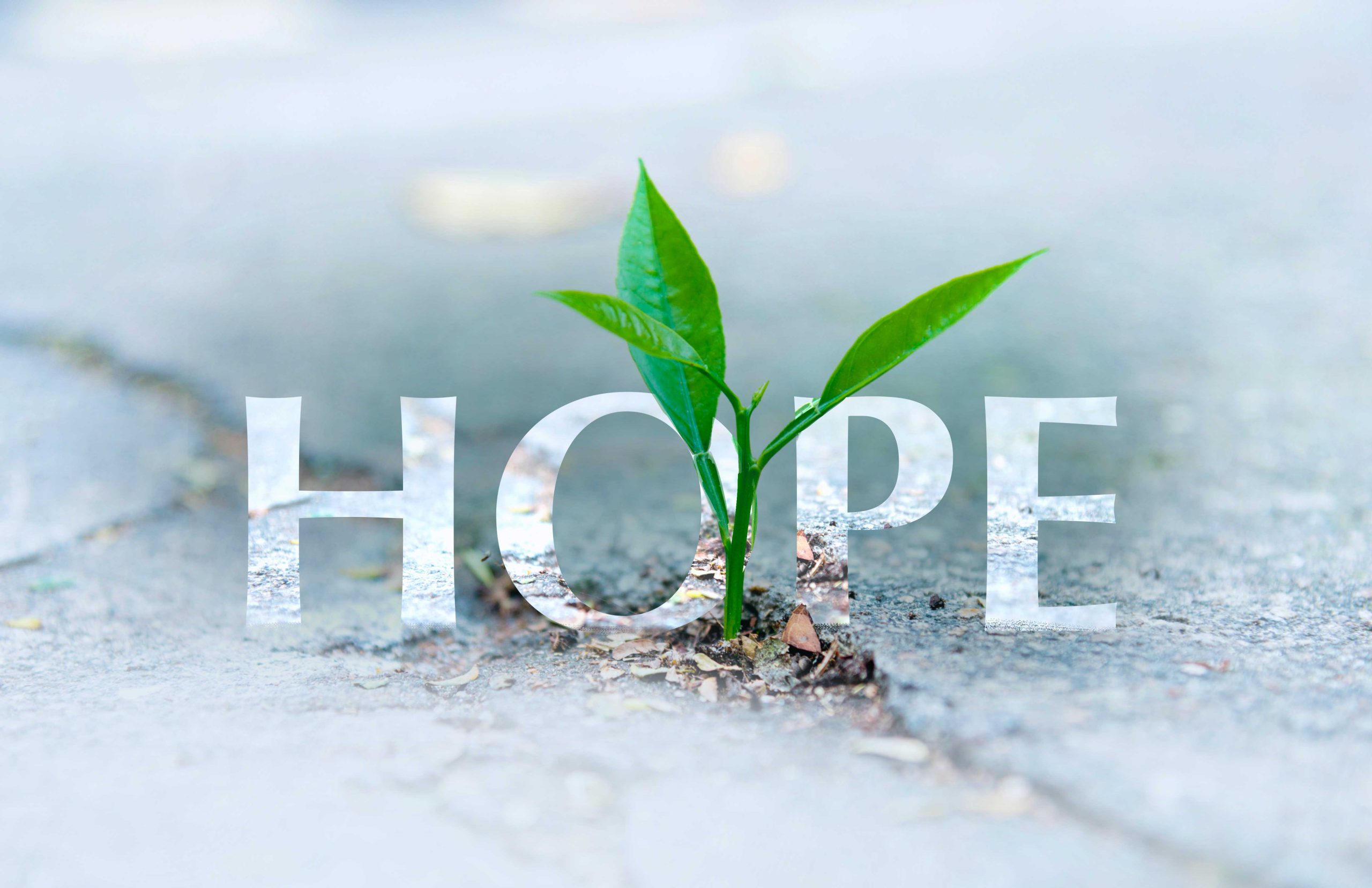 Hope Can Turn Your Life Around Church Of The Living Word